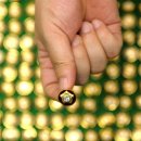 봉화제일의원 이미지