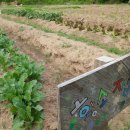 정경식농장 이미지