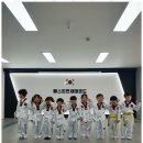 베스트 연세 태권도 이미지