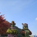 월광수변공원 버스킹 이미지