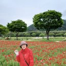 5월 5일, 6일 포항, 울산 나들이 이미지