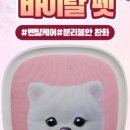 24시 굿케어동물의료센터 이미지