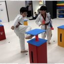 로운 태권도장 이미지
