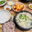[다긔의일상] 8월 넷째 주 : 아파도 작은 월급보면 일해야겠다 싶은 일개미, 나도 방학줘!