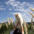 나리 모텔 이미지