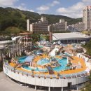 휘닉스파크 - 제천시 내토로32길 8-1 | 휘닉스파크