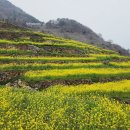 남해-163 Daum카페