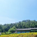 천성사 - 1723 | 천성사