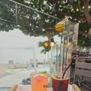 바바라 발리 이미지