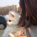 봉봉냥냥
