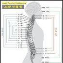 알로벳 이미지