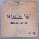 비로소봄