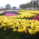 6월펜션 이미지