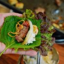 한라산도야지 이미지