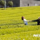 동광리-19 이미지