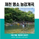 시원하고 맑은 물에서 물놀이! 제천 능강계곡 캠핑/충북/청주/오창/진천/대전/세종/제천/천안/괴산/ 증평/조치원/아산/충남/경북 이미지