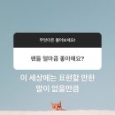 쏨스토리