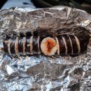 더베스트김밥 네이버블로그