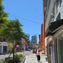 부산 당일치기 여행: 일미밀면, 도모헌, 모모스카페, 스크러피, 스타벅스 광안비치점, 코카모메