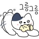 소설다방 이미지