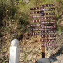 대성암 갈림길 이미지