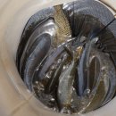 새말낚시터 이미지