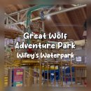 미국 실내 워터파크 추천 | Great Wolf Lodge Wiley's Waterpark 후기