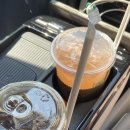 해오하우스 | Jeju, Day2 / 미복식당 혼인지 비자림 로미뮤직하우스 런베뮤 오브젝트 서랍 단백