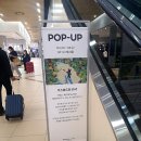 김포공항 롯데몰 팝업스토어 가스파드와리사 3월20일부터 4월 16일까지 2026 봄 롯데몰 팝업추천