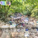 중원 | 경기도 계곡 추천 양평 중원계곡 여름 물놀이 후기