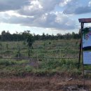 할렐루야농장 이미지