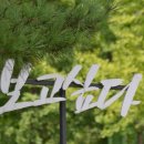편한여행