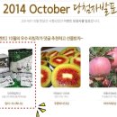 대천맛김(주) | 짜지않고 맛있는 대천매일맛김!!