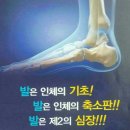 팔팔 두발로