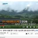 큐케어 이미지