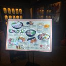 모모카 | 청주성안길술집 모모카 방문후기