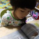 도일농장 이미지