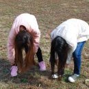 초등 감성미술 이미지