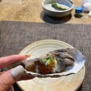 동경오리온 이미지