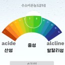 중도야채