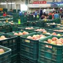 우리공판장 이미지