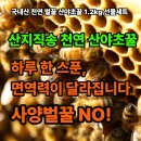 자연과 건강(산야초 이야기) | 놀라운 건강 효능의 100% 국내산 인증 산지 직송 산야초 천연 벌꿀