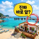 소동펜션민박 | 장호해변민박 삼척 장호항 바다 앞 숙소 가격과 예약 꿀팁 정리