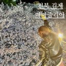 전주 근교 벚꽃 카페, 마마줄리아 김제 모악산 벚꽃 개화 상황