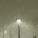 박서방춘천닭갈비 토평점 이미지