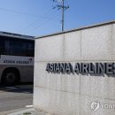 아시아나항공조종사노동조합 이미지