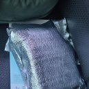 라라온누리약국 | 현직 간호연구원이 맞아본 위고비 0.25mg 한달 후기 광주 최저가 병원 약국 -4kg