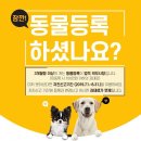 노아동물병원 이미지