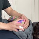 운동센터+1℃ | 체형바로잡기운동 전문 <결대로방문운동센터>1대1 맞춤 진행 후기