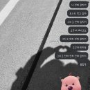 16. 초여름 일상